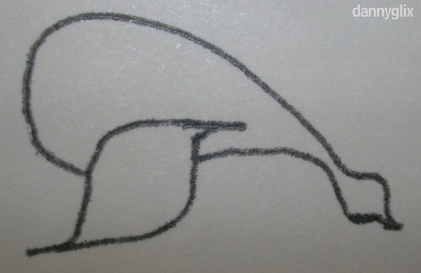 swan