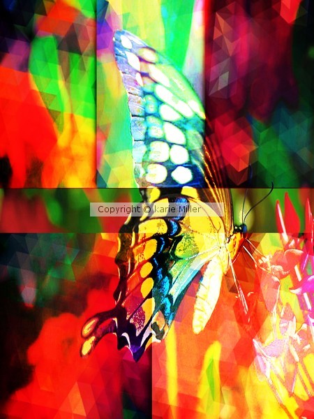 Flutter babys 3