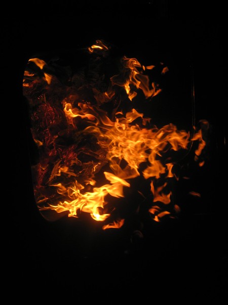 One hot photo