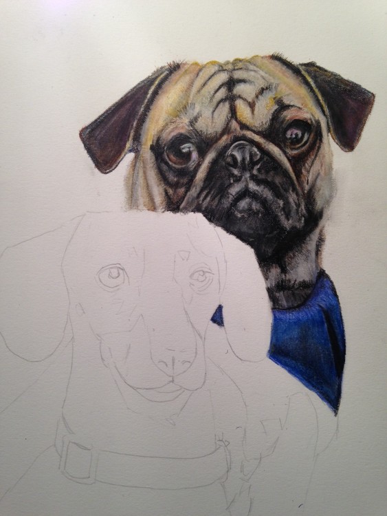 Work in progress
