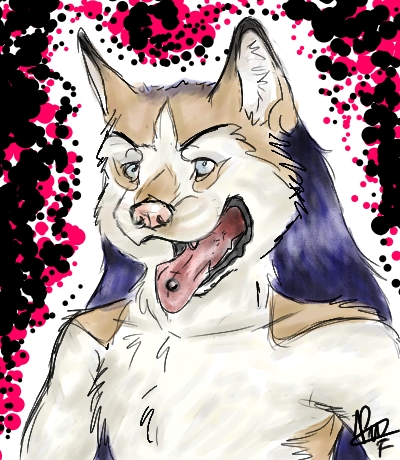 Husky Boy