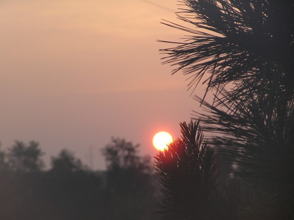Beautiful Sunrise