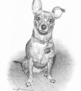 pencil-portrait-by-mike-theuer-13