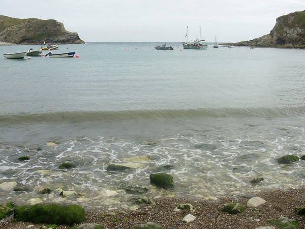 The Dorest Coast III
