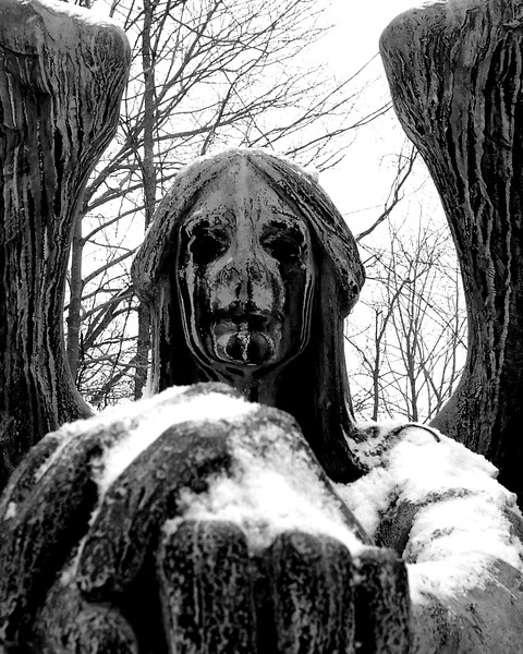 Angel in the snow