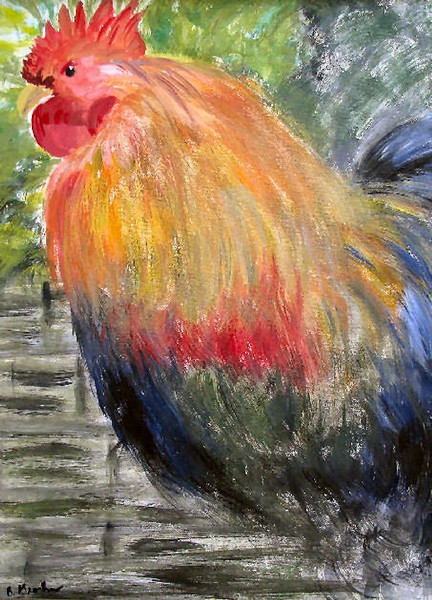 Cockrel