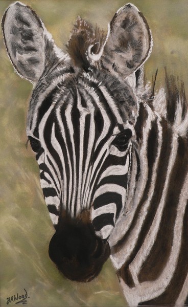 Stripes