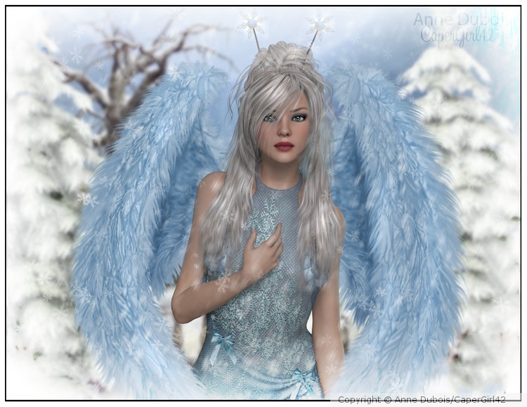 Winter Angel 