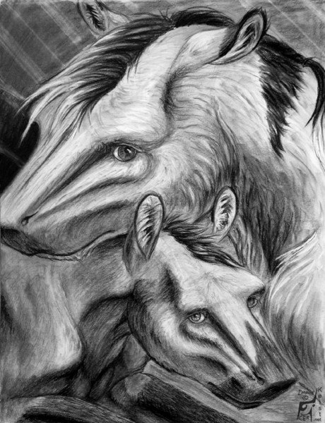 Shamien in Charcoal