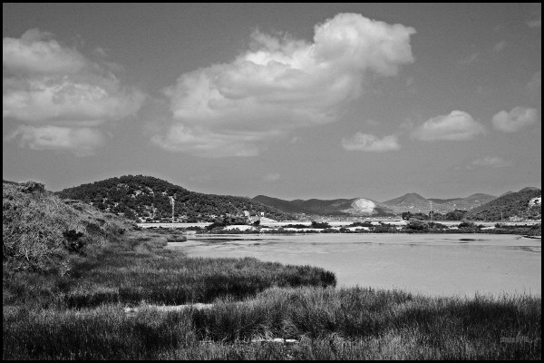 the gallant shoreline blows dimly its leaving 