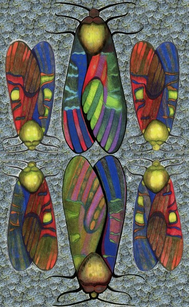 Bugs