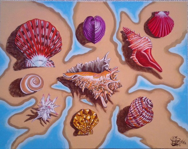 My Sea Shell Collection