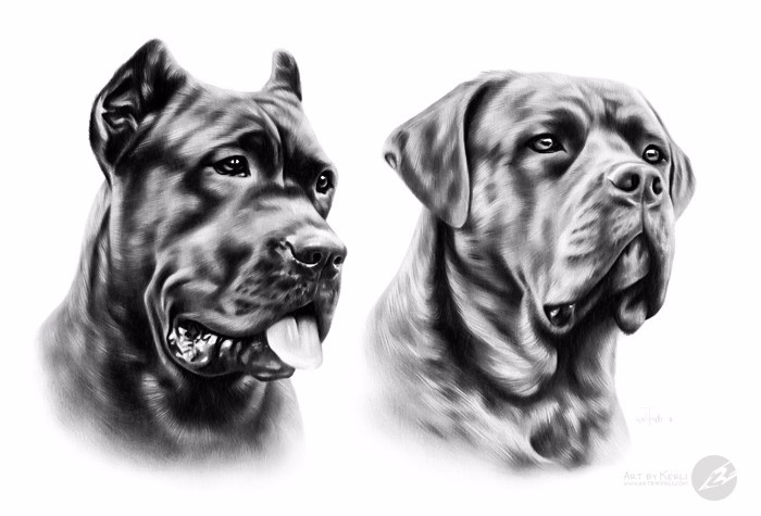 Contessa & Floyd