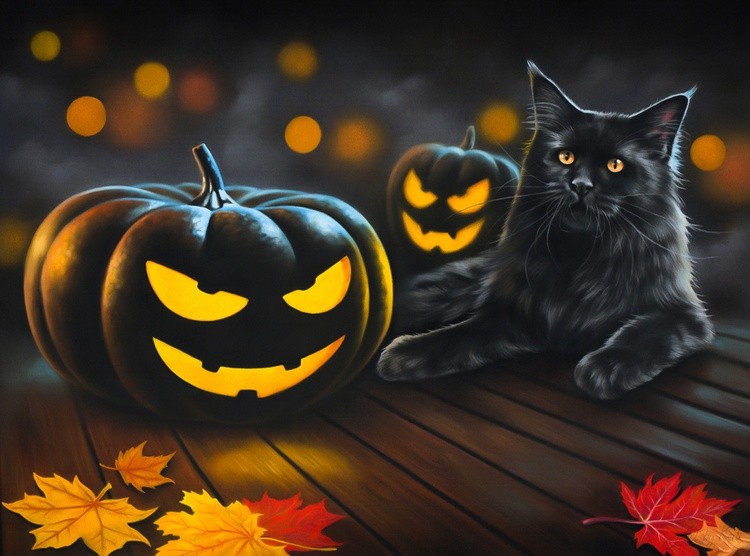 Made for the Season