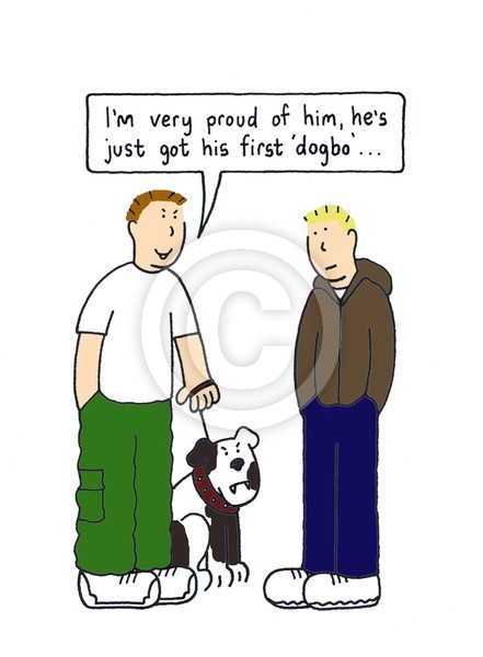 DogBo