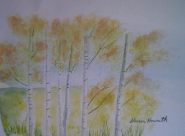 The Birches 