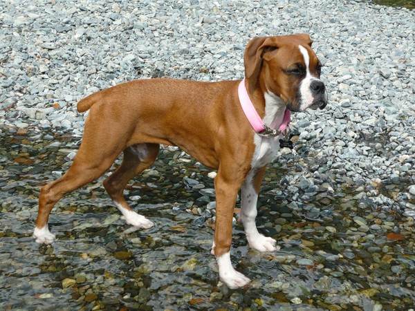 Our girl Lexie