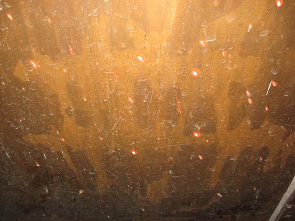 Copper Back Wall
