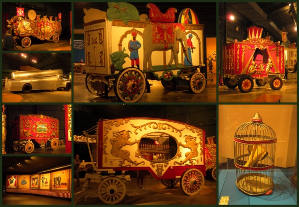 circus in town