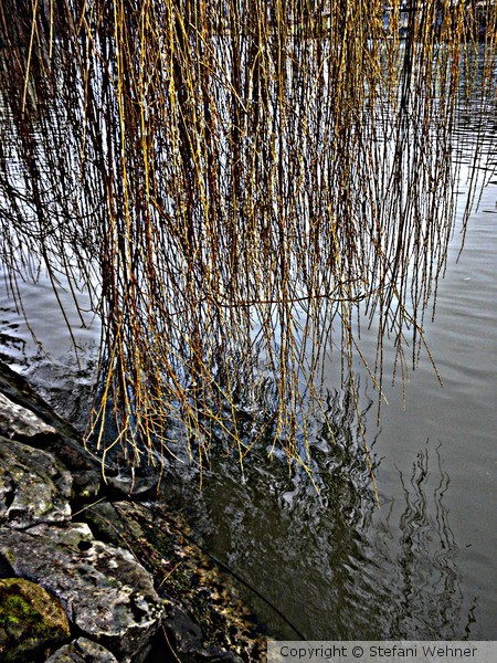 March reflections