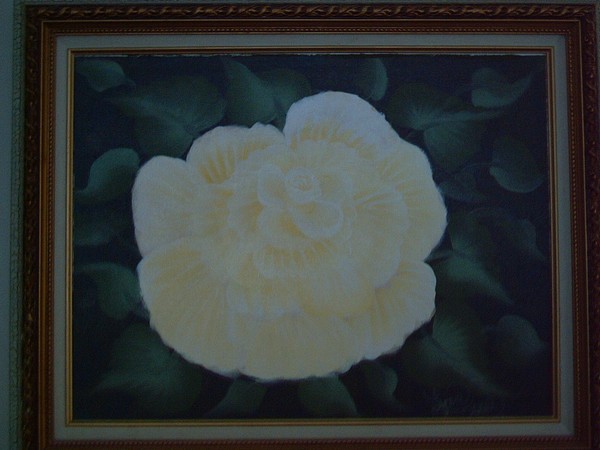 pascali rose