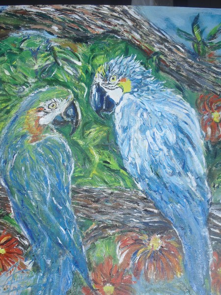 Pair of Parrots