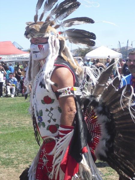 Indian Feathers