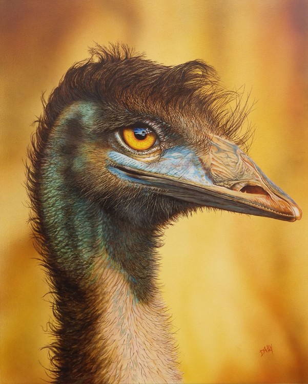 Old Man Emu