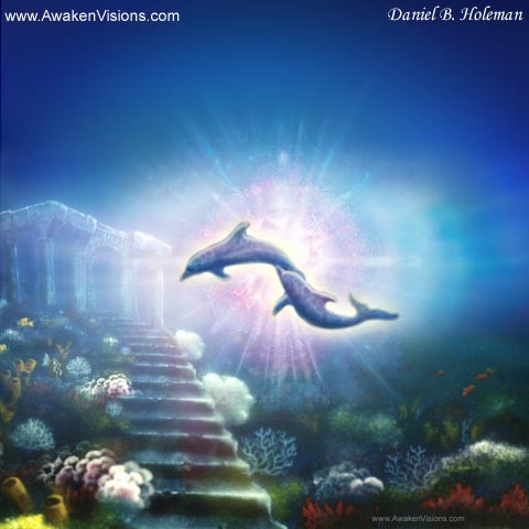 Nori Dolphins