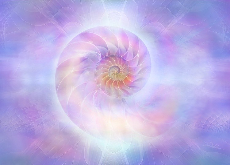 H160-Nautilus-Lavender-5x7