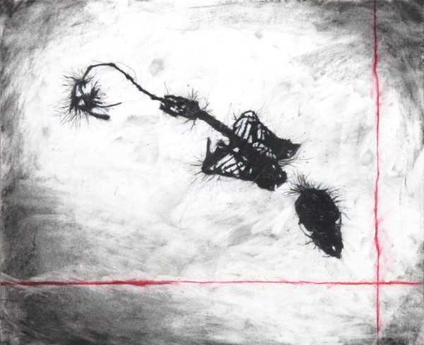 Bat, After the Fall