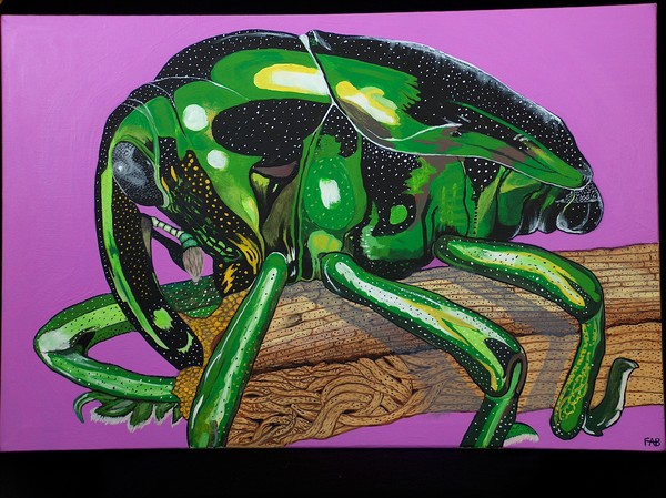 big bug