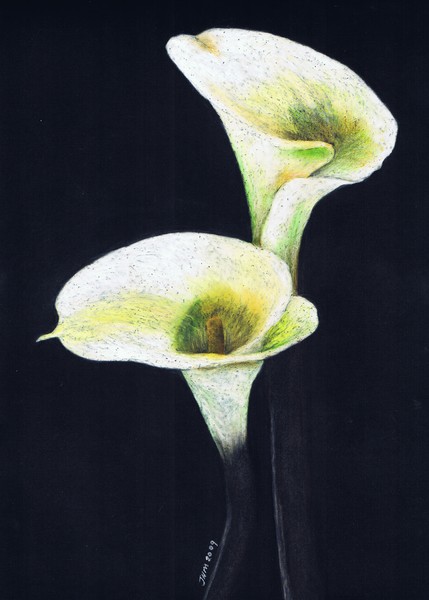 White Lilies