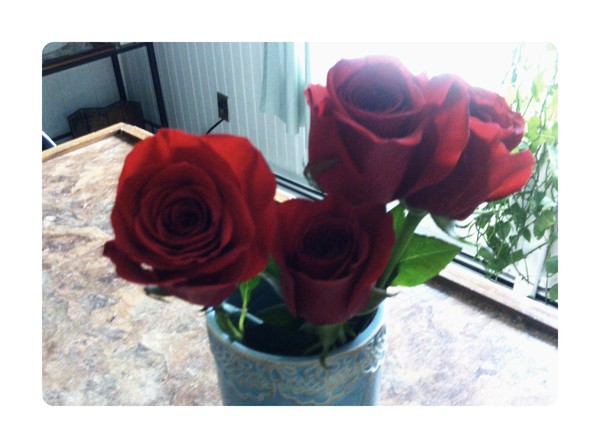 Birthday flowers from Joe