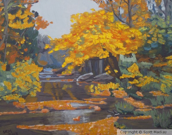 Autumn Tree