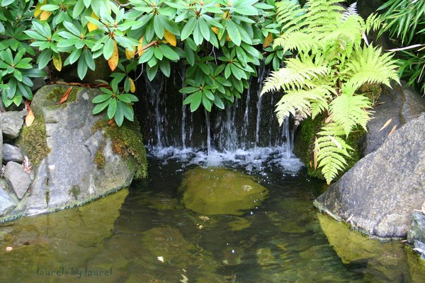 Little Waterfall in Butchart Gardens