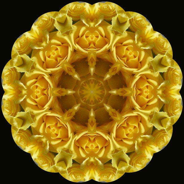 Rosette of gold