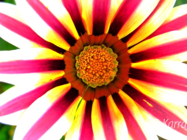 like a sun