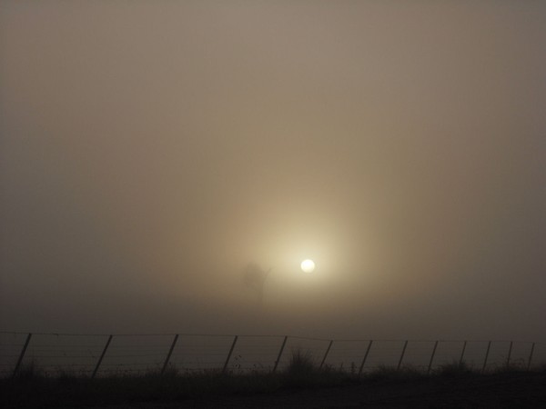 Morning Fog