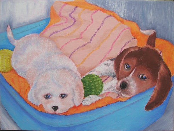 two puppies in a petshop
