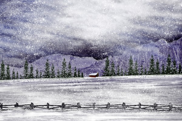Blizzard