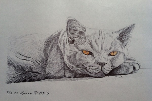 British Shorthair Cat (Original Artwork Sold)
