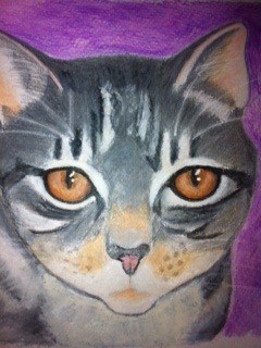 Grey Kitty