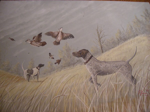Texas Hill Country Quail