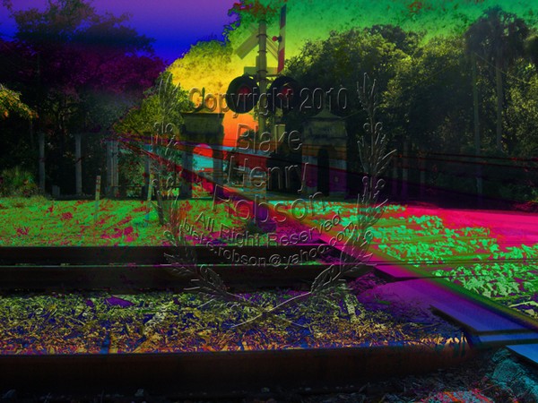 Train Tracks & Tropical Ruins Collage