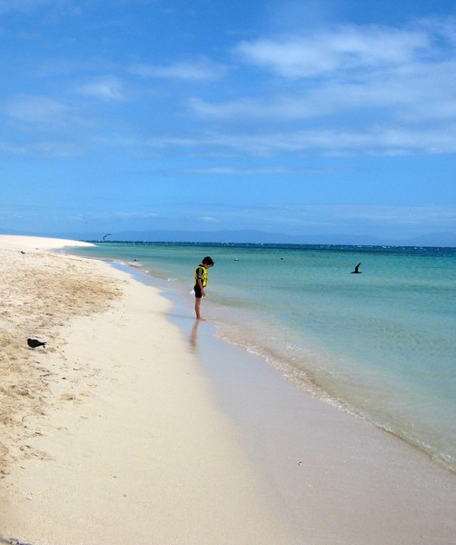 Great Barrier Reef, Michaelmas Cay