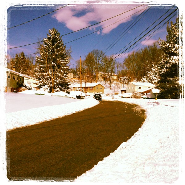 Day after the Storm