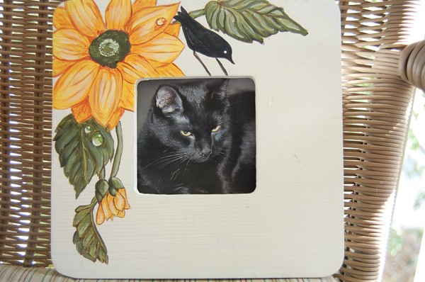 Sunflower and crow frame