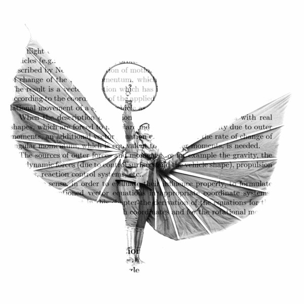 Law of Motion Flight, Digital Deviant