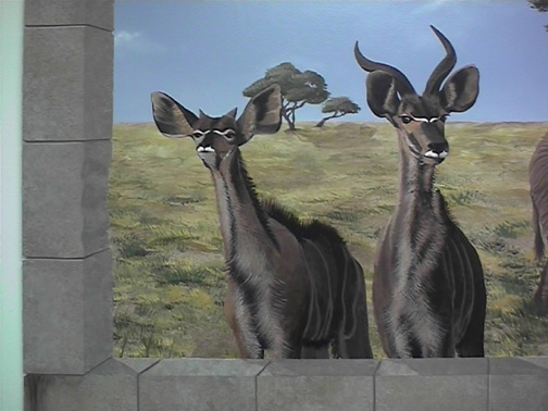 Kudu